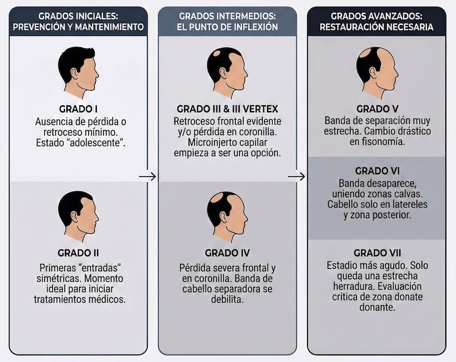 Escala-Norwood-Clinica-Capilar-Madrid-Folika-Hair-Clinic